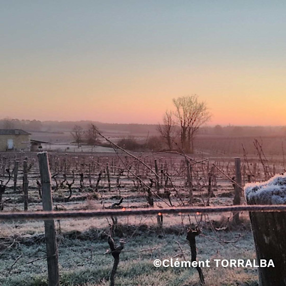 Concours photo #Agrienscene Palmarès 2021