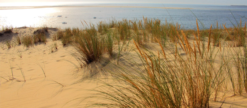 Dune du Pyla et Bassin d'Arcachon