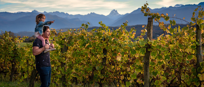 balade vigne en famille, vignoble de Jurançon