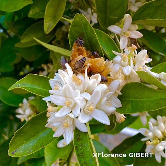 Concours photo #Agrienscene Palmarès 2021
