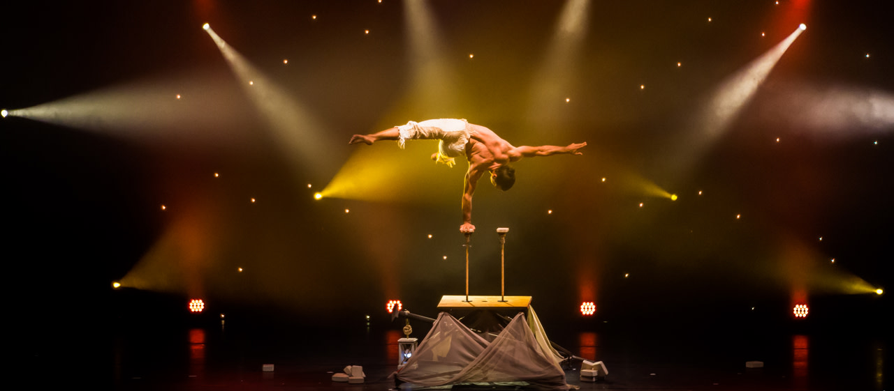 Festival des Artistes de Cirque