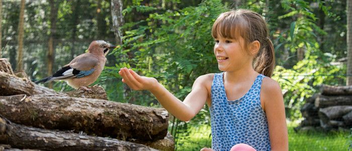 Center Parcs, Morton ©Momentum Productions (74)-800