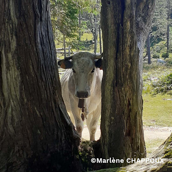 Concours photo #Agrienscene Palmarès 2021