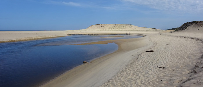Copyright-S Pailloncy-CRTNA-Arrivee du courant d Huchet dans l ocean Atlantique-10467-800