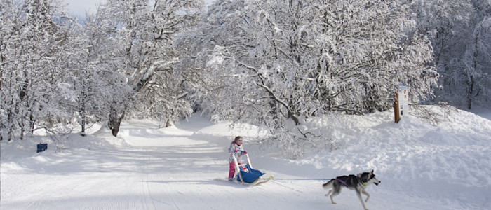 La Pierre Saint-Martin baby mushing