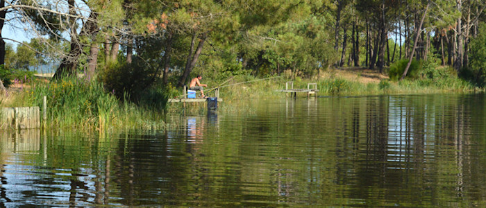 Lac Hourtin - nature
