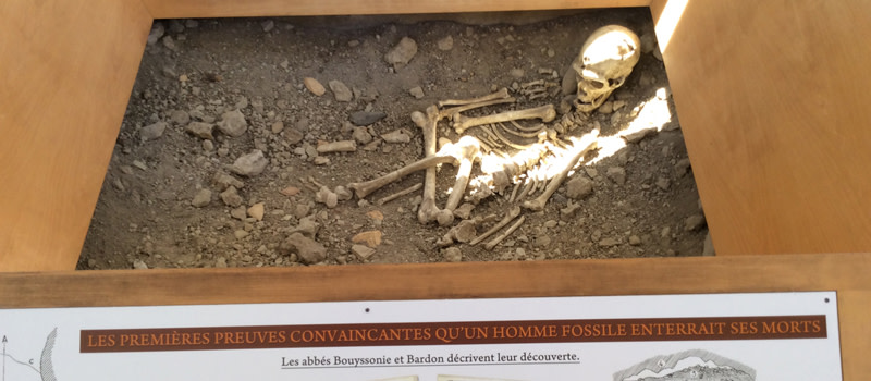 Nos 3 coups de cœur du monde fascinant de la préhistoire en Nouvelle-Aquitaine !