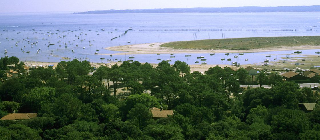 La conche du Mimbeau au Cap-Ferret La conche du Mimbeau au Cap-Ferret