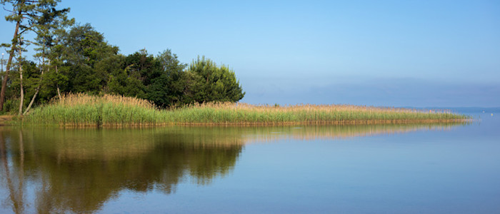 © David Remazeilles (Gironde Tourisme)-34236375263 b57c3514ef o-800