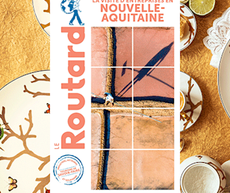 couv-routard-savoir-faire NA 400