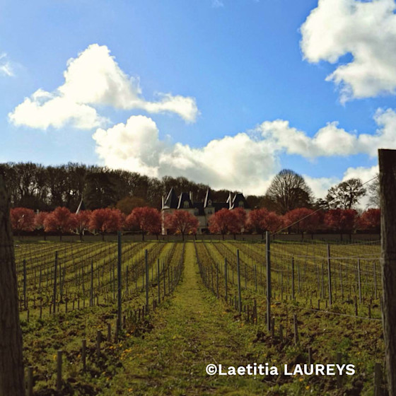 Concours photo #Agrienscene Palmarès 2021