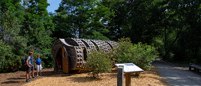 Refuge périurbain "Le tronc creux" à Pessac