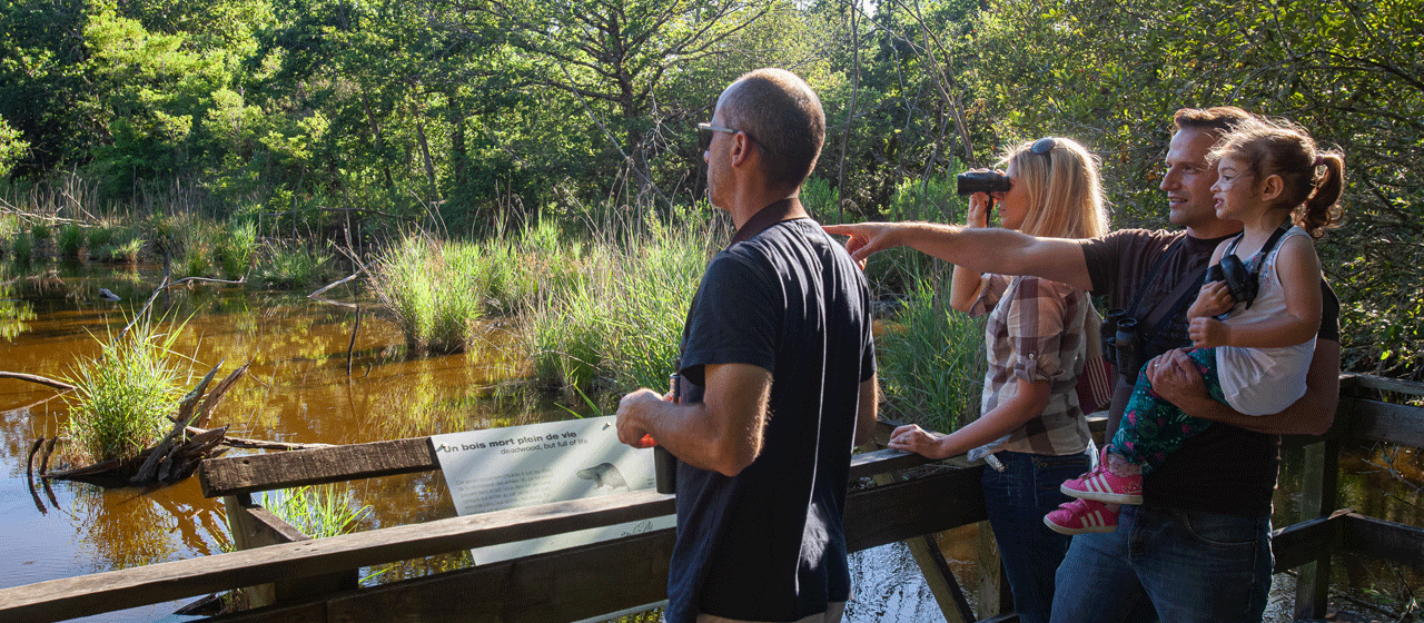Visite en famille dans le PNR des Landes de Gascogne Visite en famille dans le PNR des Landes de Gascogne