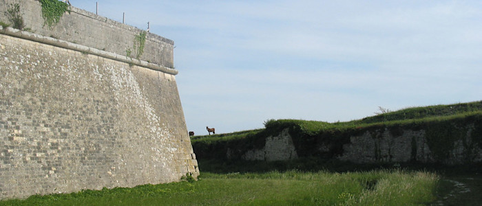 Rempart Ile de Ré