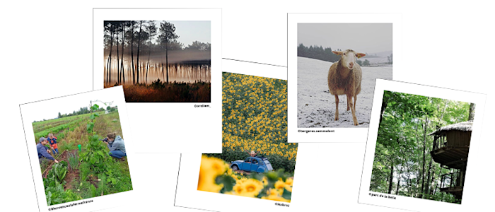 Mosaïque de paysages de campagne en Nouvelle-Aquitaine