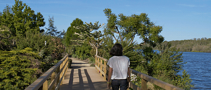 Promenade fleurie de Mimizan