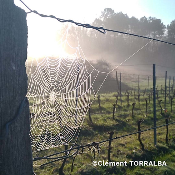 Concours photo #Agrienscene Palmarès 2021