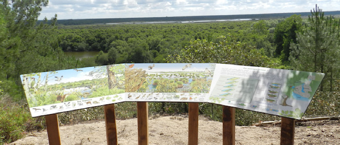 Dunes et Marais d’Hourtin