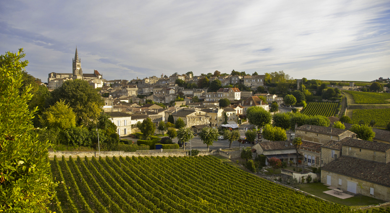 Village de Saint-Emilion et ses vignes alentours