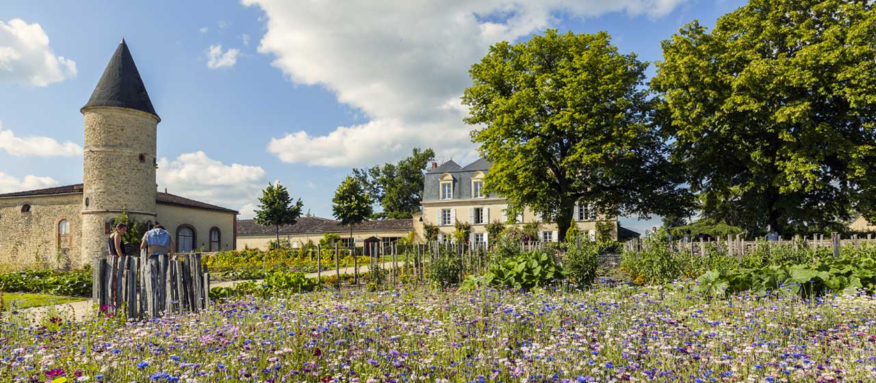Château Guiraud Château Guiraud