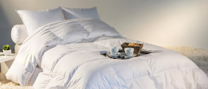 Castex - Couette 90% duvet