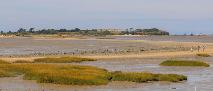Rochefort Océan - Ile Madame