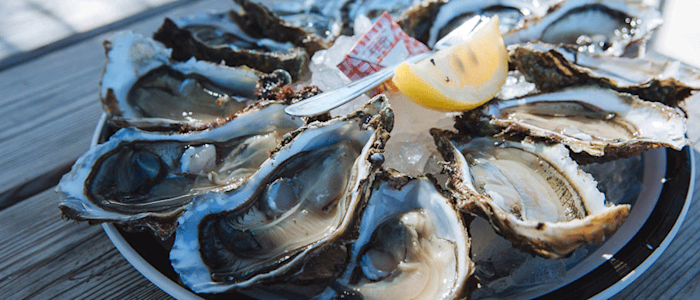 Oysters - Lunch at La Teste de Buch