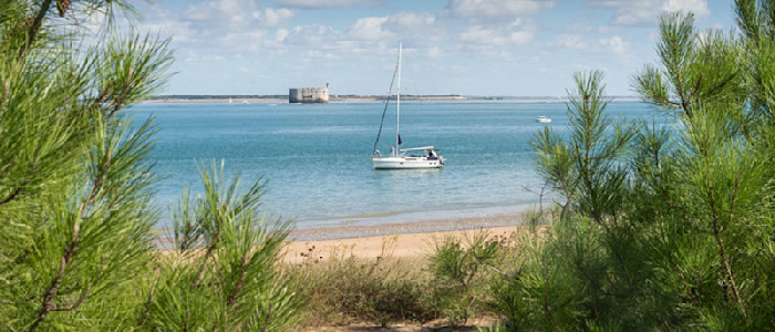 Copyright-Thierry Richard-CRTNA-Vue de l Ile d Oleron-13332-800