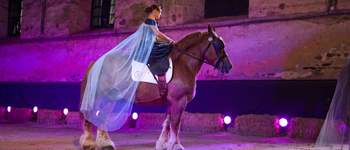 Copyright-2mots.fr-CRTNA-Spectacle equestre au chateau de Nexon-3095-800