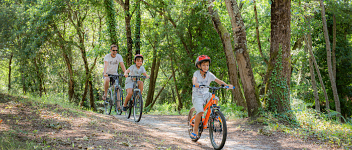 Balade à vélo dans le PNR Landes de Gascogne