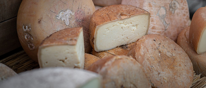 Fromages de brebis
