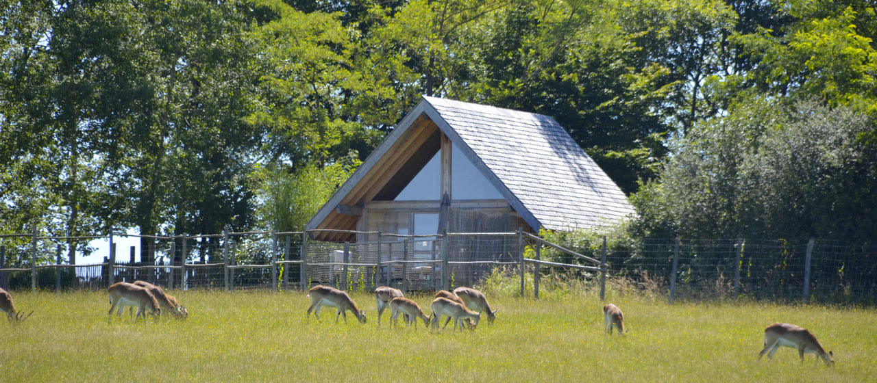 Lodges Reynou Lodges Reynou