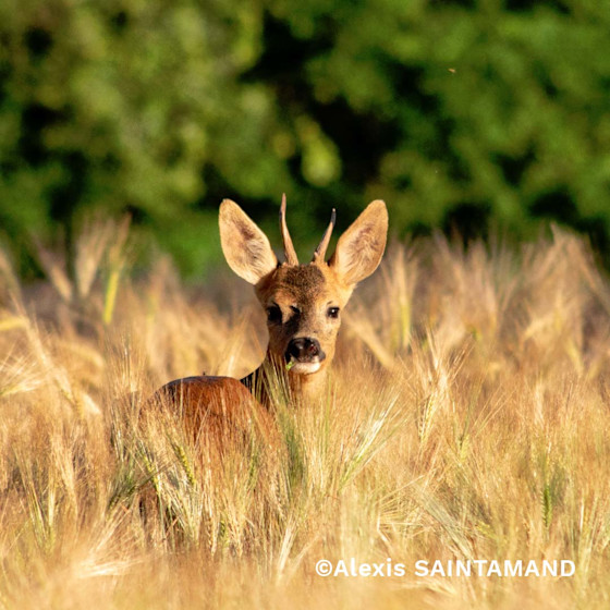 Concours photo #Agrienscene Palmarès 2021