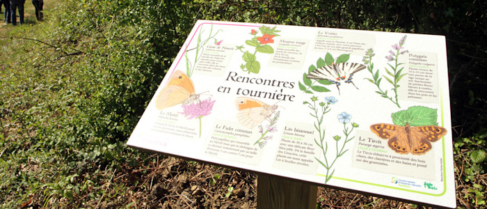Promenade-inauguration-Biodiversité-web-1280
