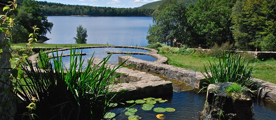 Jardin aquatique Vassivière