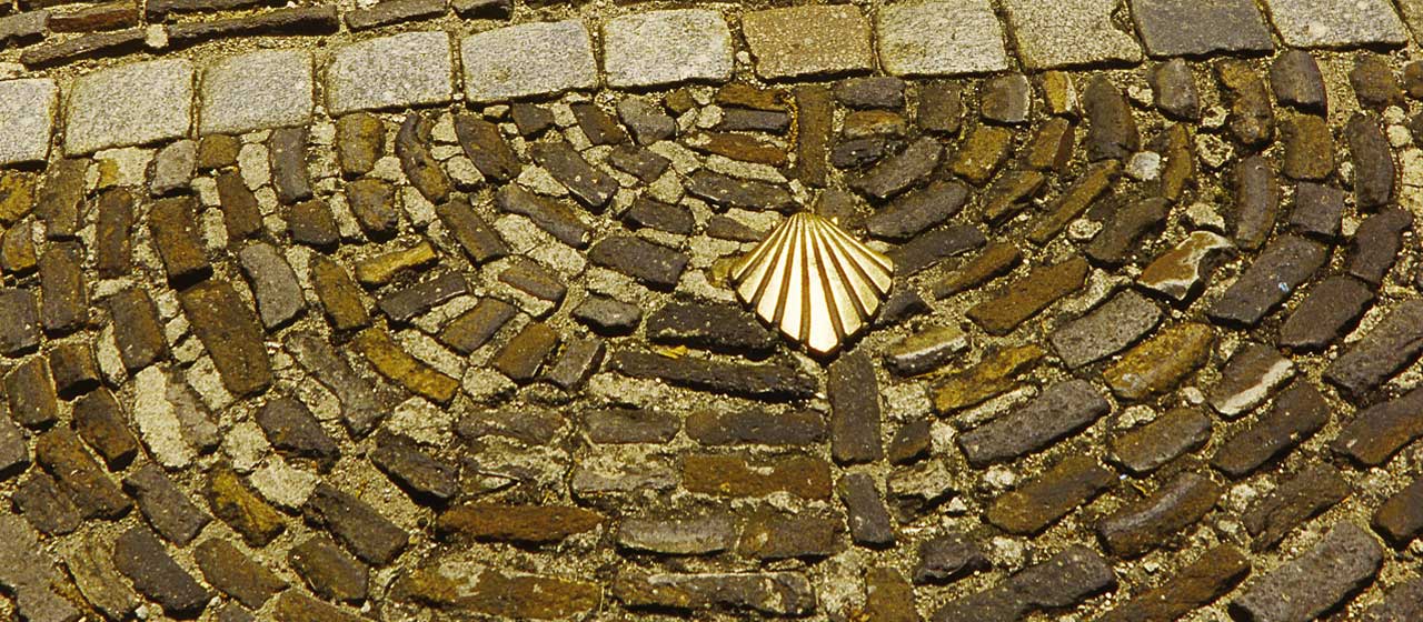 Coquille Saint Jacques Coquille Saint Jacques