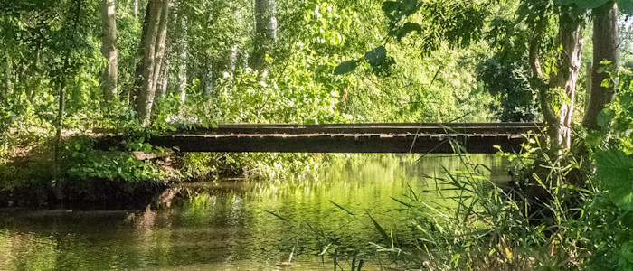 article standard 05MaraisPotevin1280x800