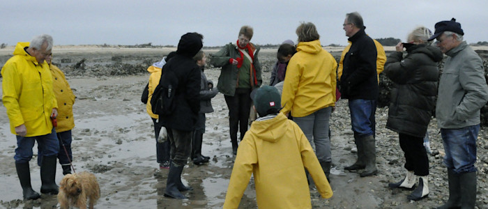 Groupe de pêche à pied
