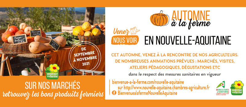 Automne à la ferme 2021 - marchés
