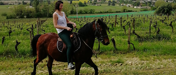 article standard 03CapMarmande1280