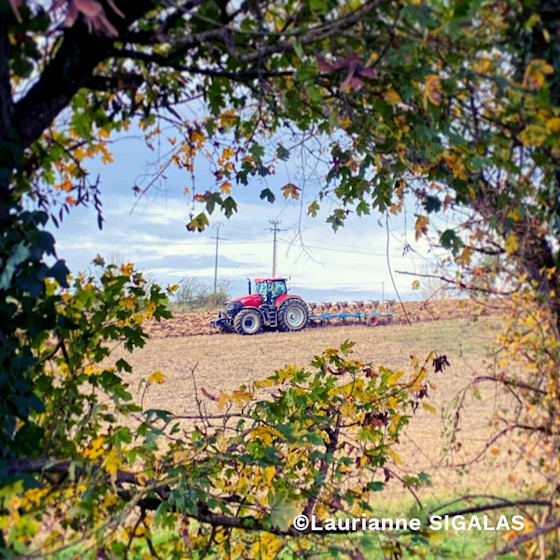 Concours photo #Agrienscene Palmarès 2021