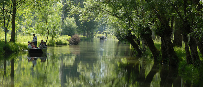 Marais Poitevin - Balade en barque - Kingsroad GOT