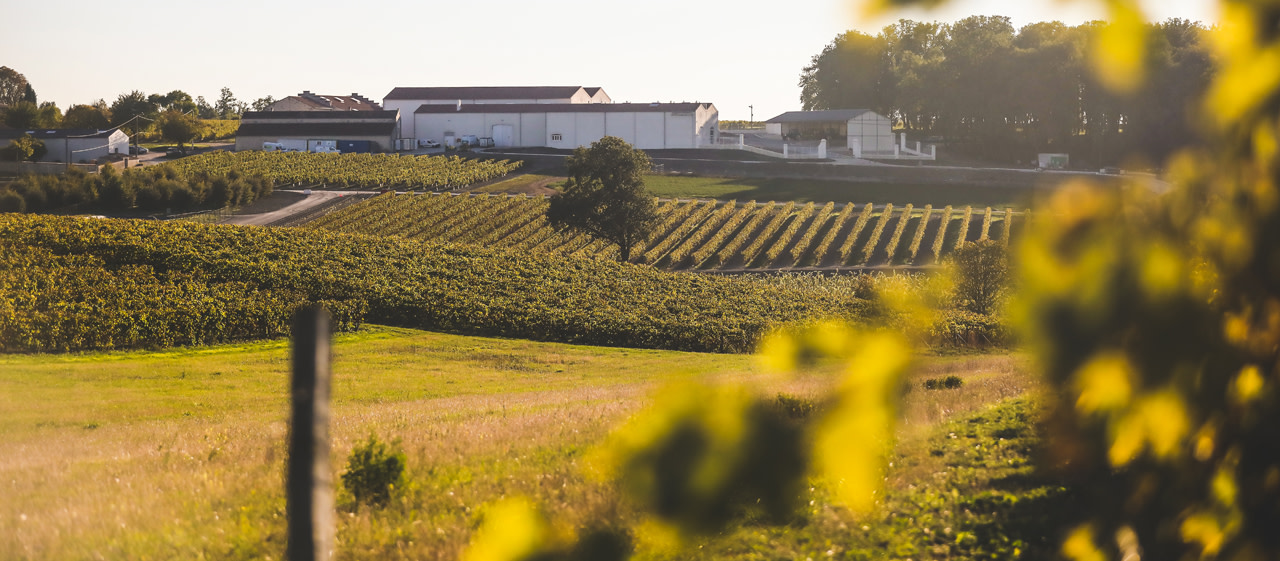 Rémy Martin - Cognac Rémy Martin - Cognac