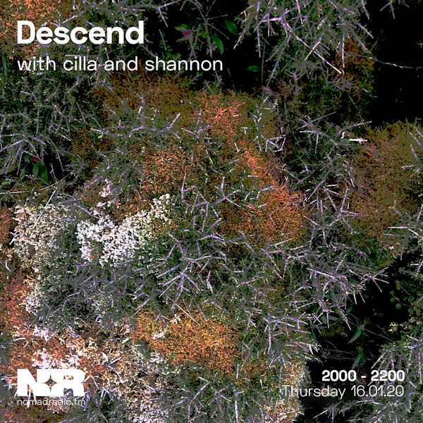Descend