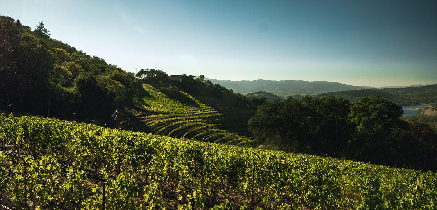 Melanson-Vineyard