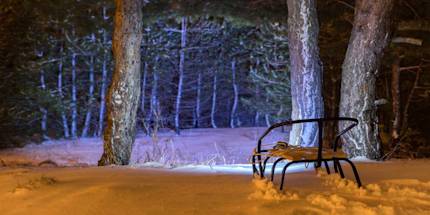 Night Sledding Night Sledding