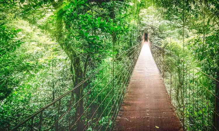 Arenal - Monteverde