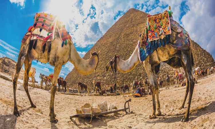 Egypt & Jordan - by Felucca Boat