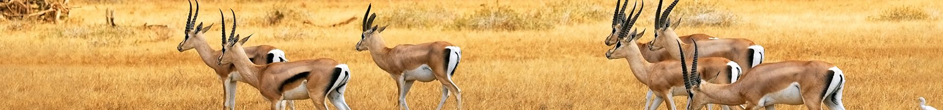 south-african-tours-image-hero