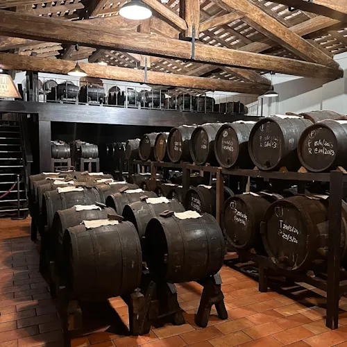 romeingwithsteph-stephanie-weber-tour-leader-travel-tips-barrels